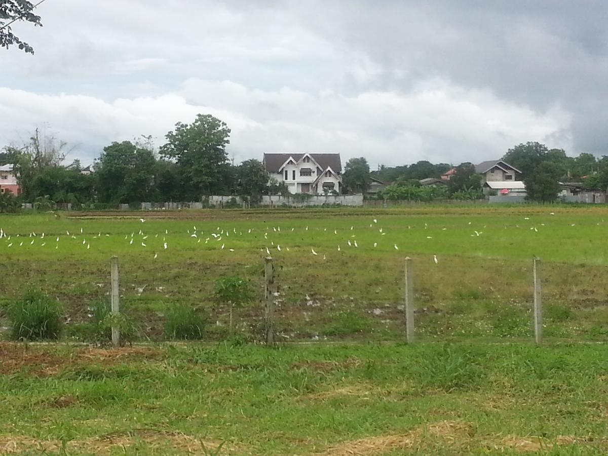Queue&Bright Resort Ban Pa Tung  Ruang foto